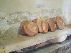 DSCN2219.JPG