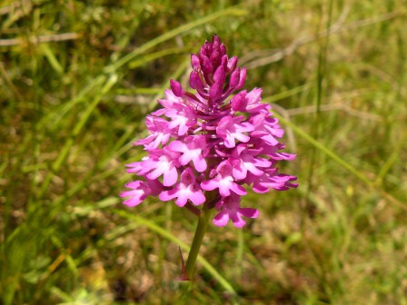 2960.01-Copie.JPG